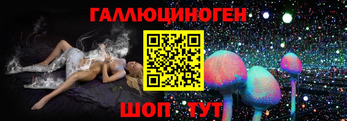 Псилоцибиновые грибы Cubensis  Псилоцибиновые грибы GOLDEN TEACHER  Тихорецк  Вход с VPN 